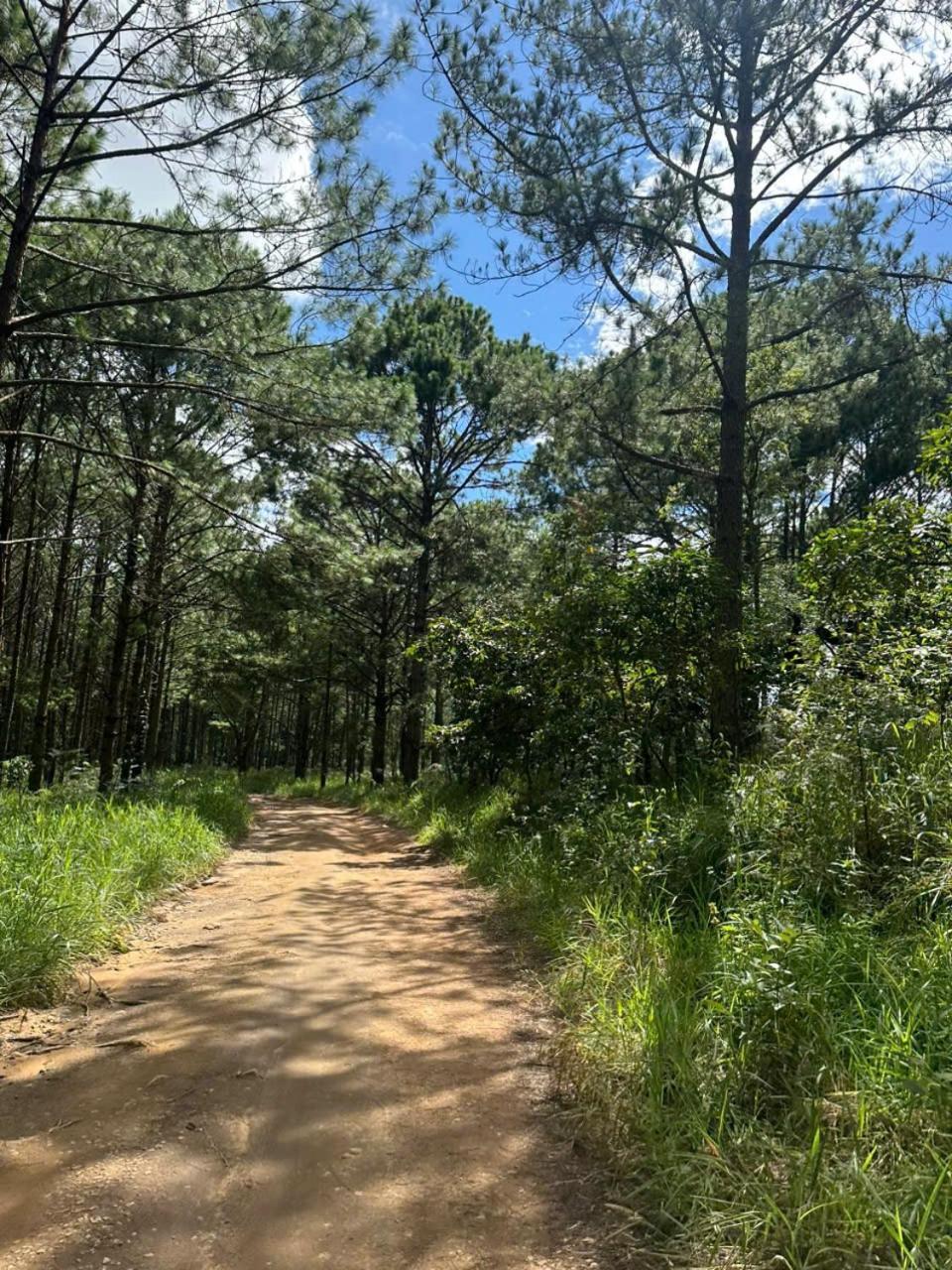 Coco 2 Hotel Da Lat Kültér fotó