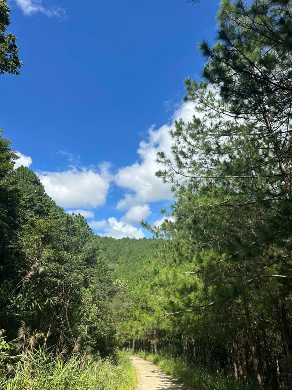 Coco 2 Hotel Da Lat Kültér fotó