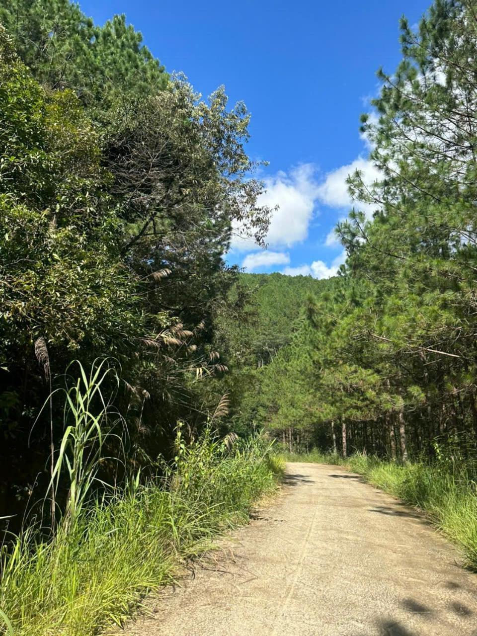 Coco 2 Hotel Da Lat Kültér fotó