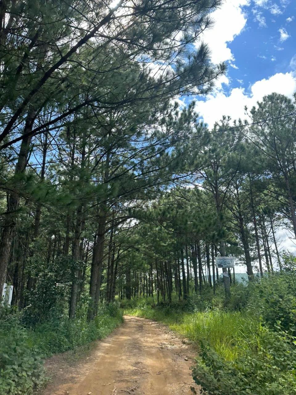 Coco 2 Hotel Da Lat Kültér fotó